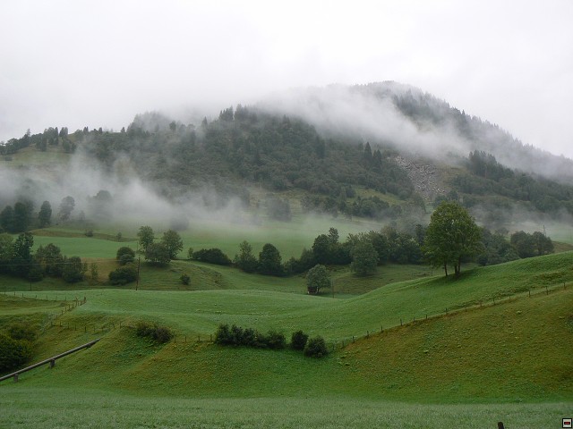 P1050744.jpg