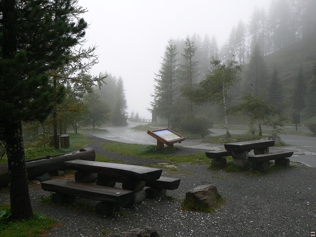 P1050748.jpg
