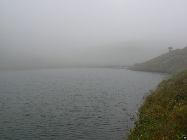 P1050759.jpg