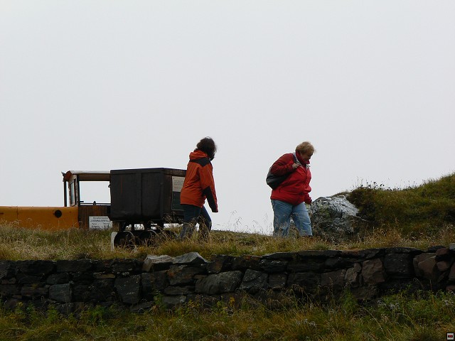 P1050767.jpg
