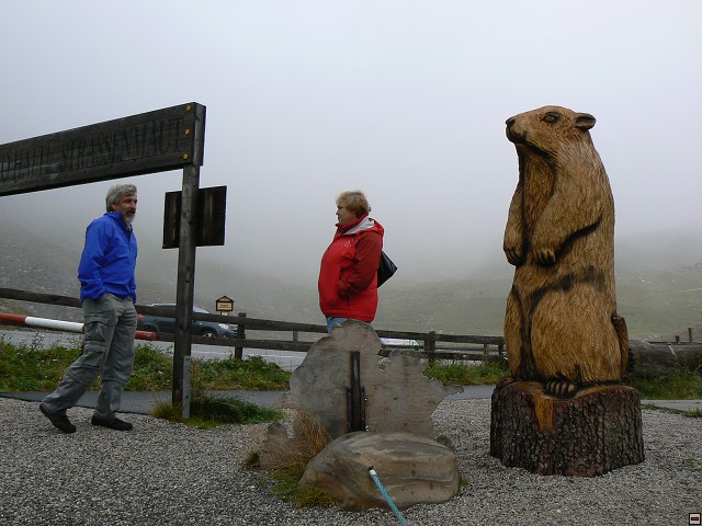 P1050770.jpg