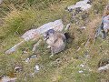 thn_P1050859.jpg