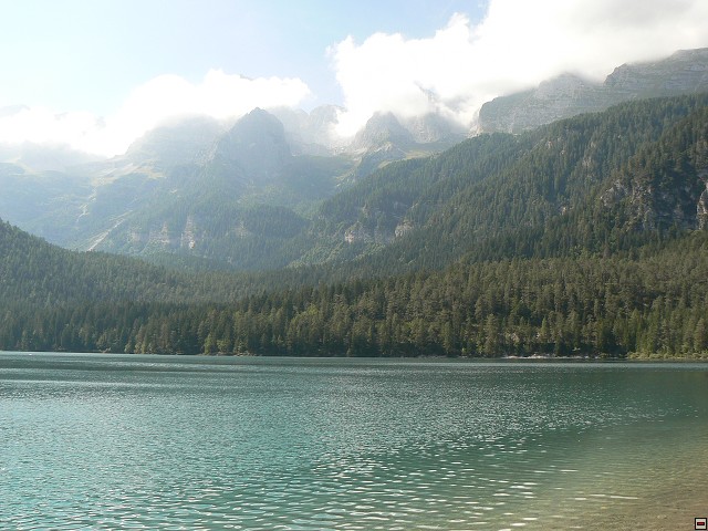 P1050899.jpg