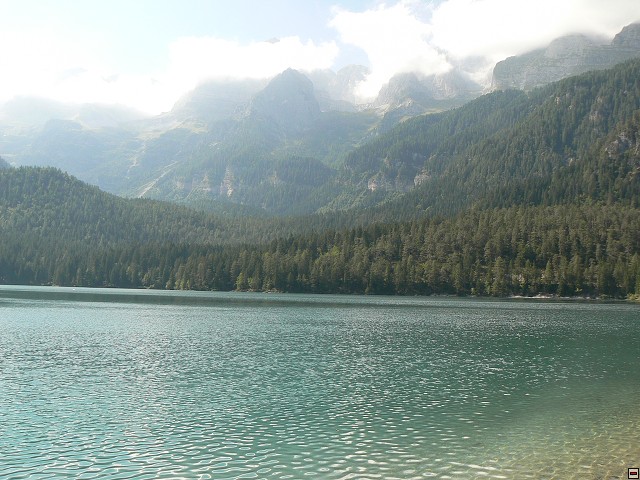 P1050903.jpg
