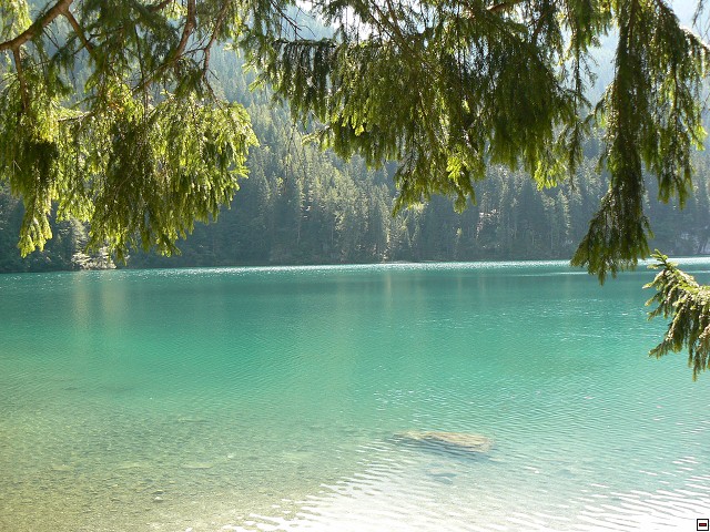 P1050905.jpg