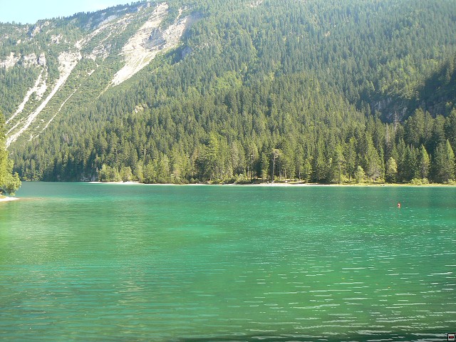 P1050911.jpg