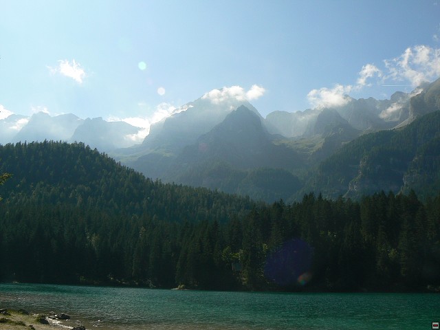 P1050923.jpg
