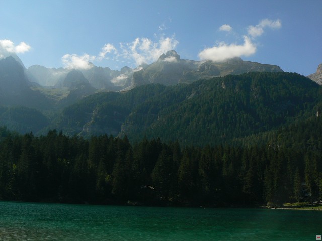 P1050928.jpg