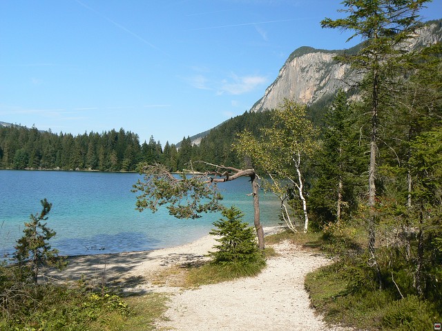 P1050930.jpg