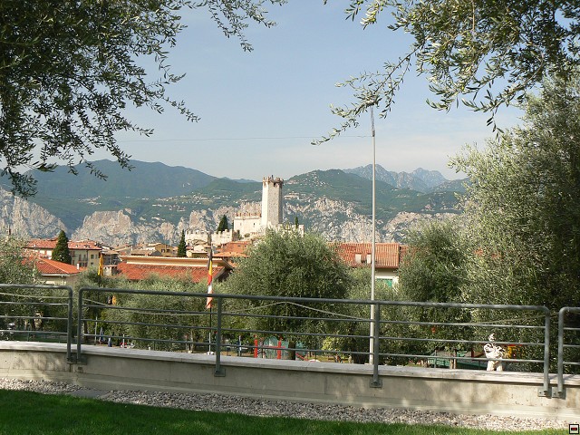 P1050932.jpg