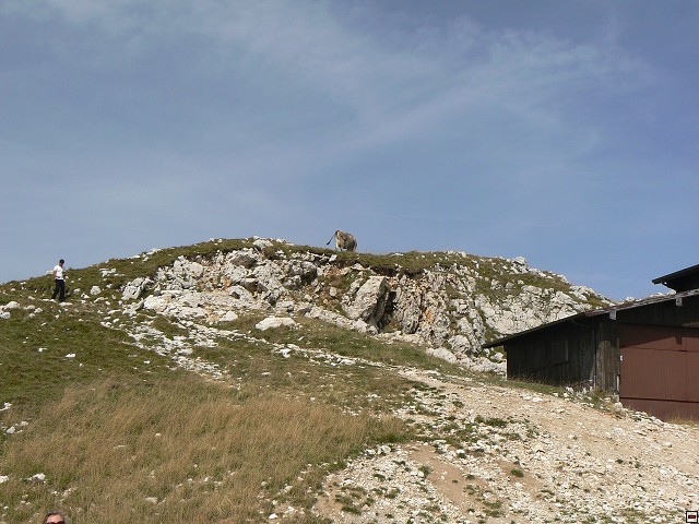 P1050939.jpg