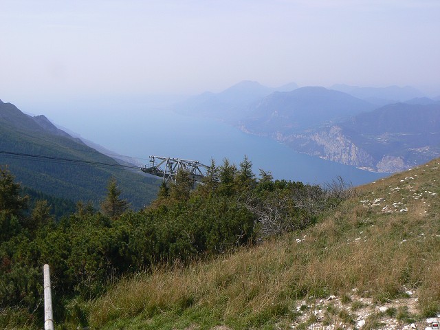 P1050941.jpg