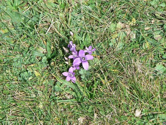 P1050952.jpg