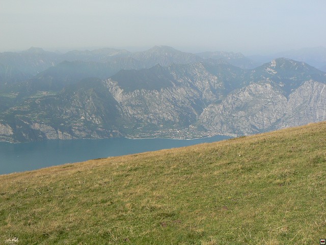 P1050954.jpg
