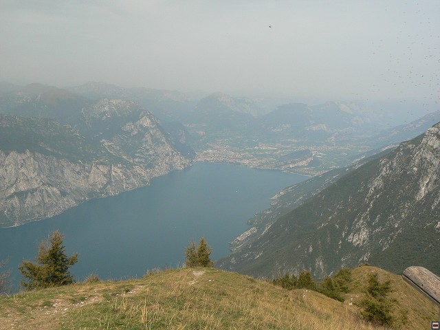 P1050963.jpg