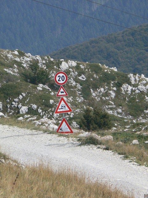 P1050976.jpg