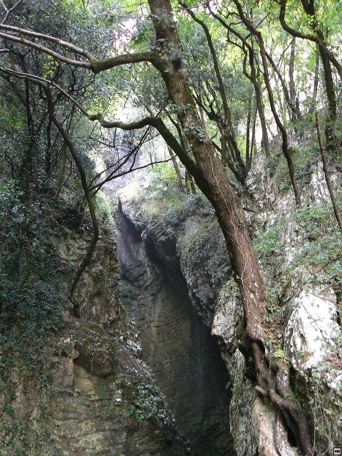 P1050993.jpg