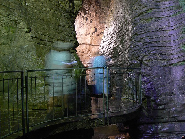 P1050997.jpg