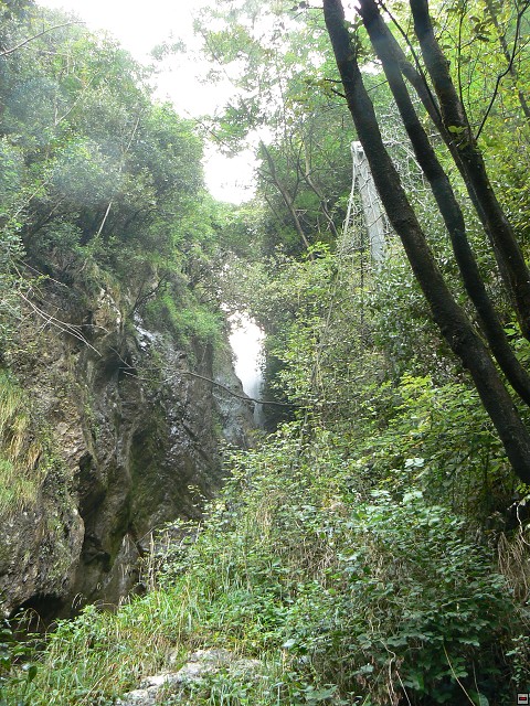 P1060011.jpg