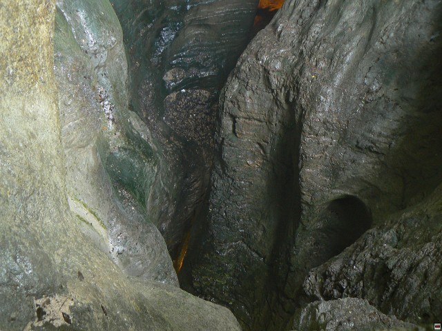 P1060013.jpg