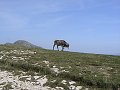 thn_P1050956.jpg