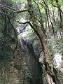 thn_P1050993.jpg