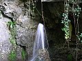 thn_P1050994.jpg