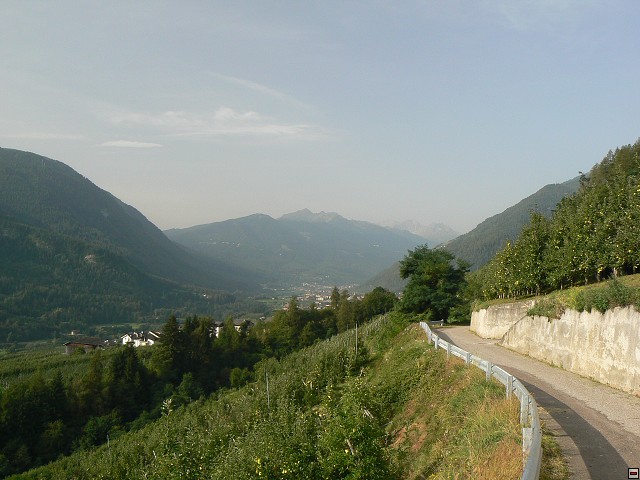 P1060019.jpg