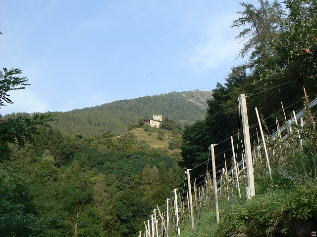 P1060020.jpg