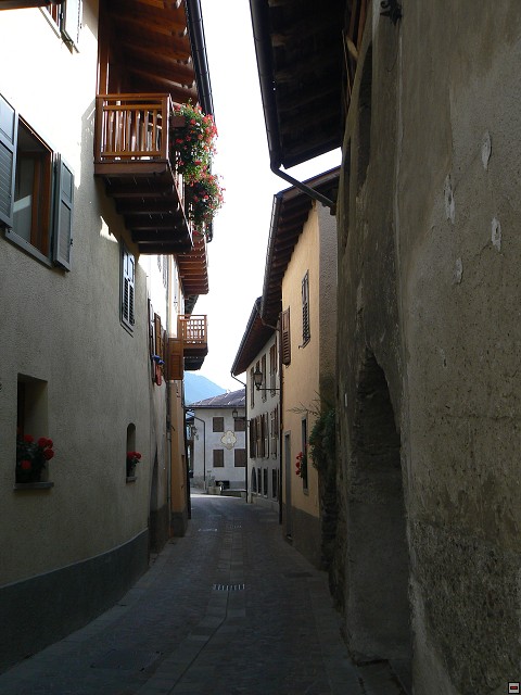 P1060023.jpg