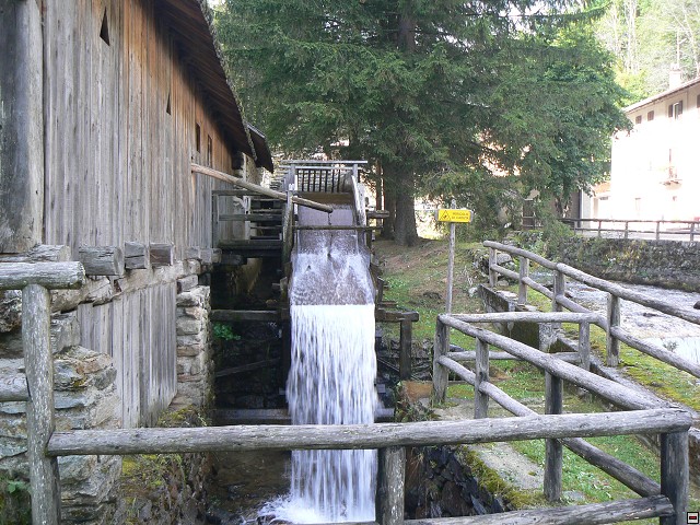 P1060031.jpg
