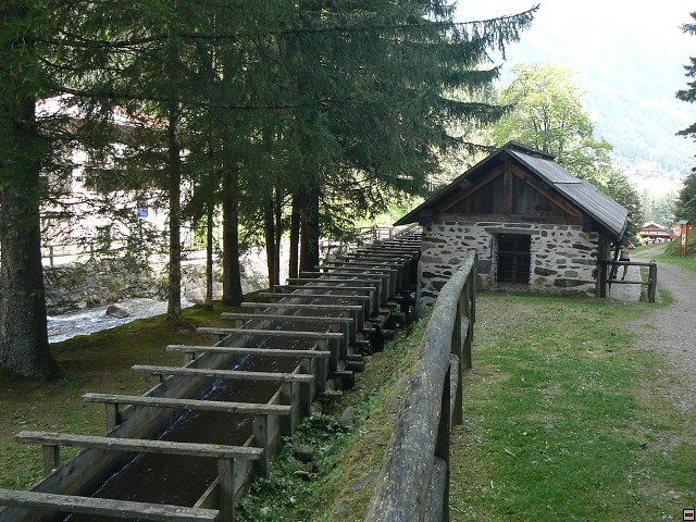P1060034.jpg
