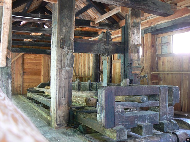 P1060037.jpg