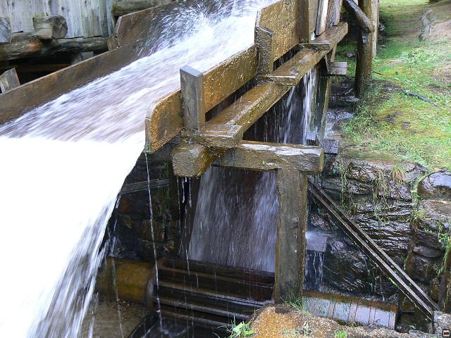 P1060038.jpg