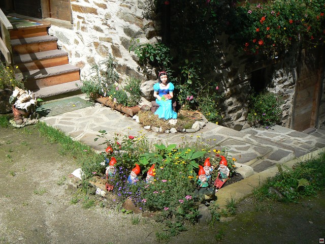 P1060042.jpg