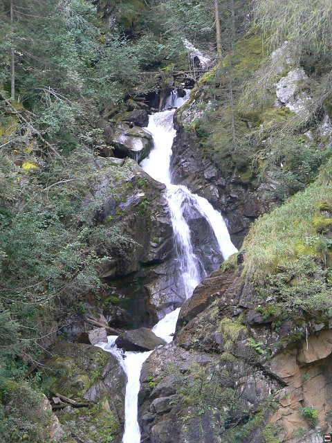 P1060047.jpg