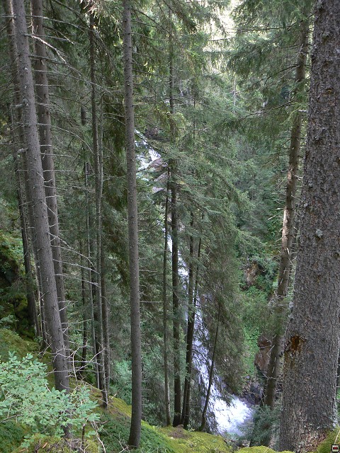 P1060065.jpg