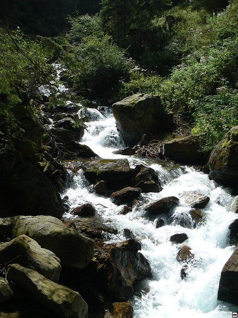 P1060066.jpg