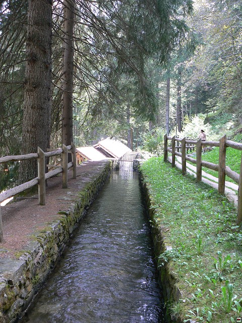 P1060069.jpg
