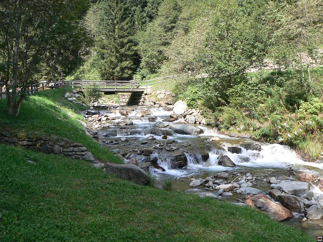 P1060073.jpg