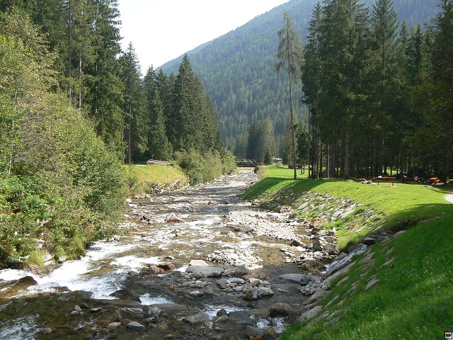 P1060076.jpg