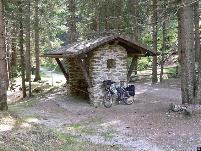 P1060078.jpg