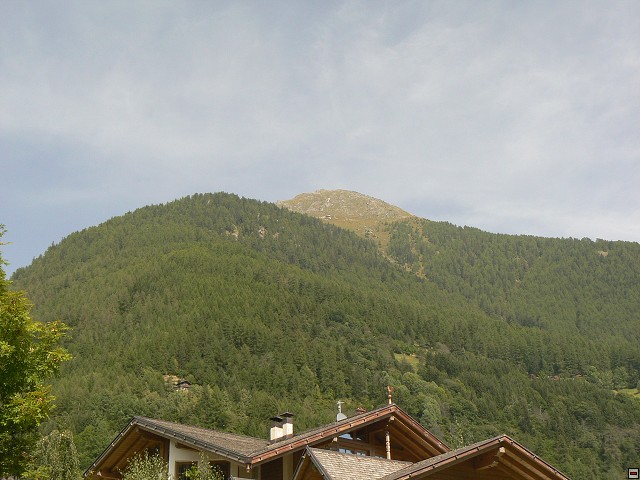 P1060079.jpg