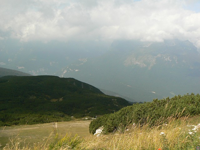 P1060108.jpg