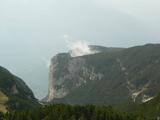 P1060125.jpg