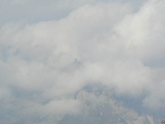 P1060131.jpg