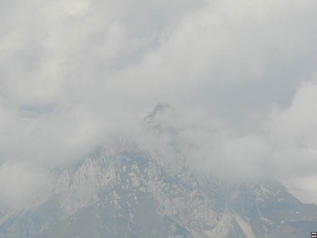 P1060135.jpg