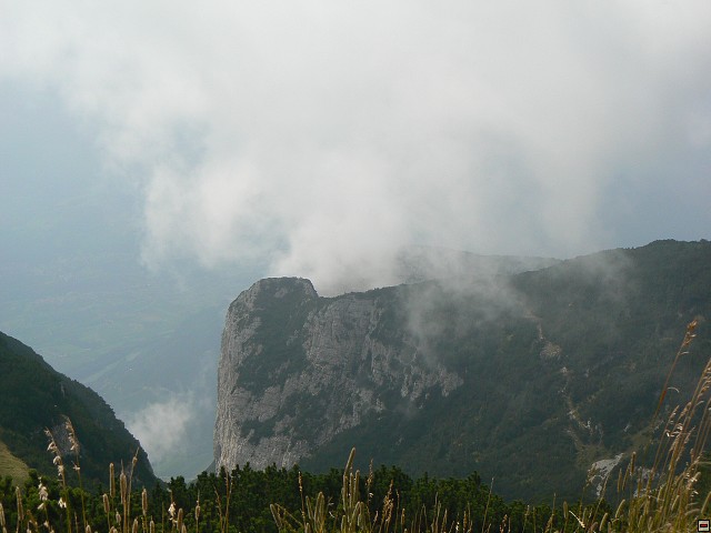 P1060142.jpg