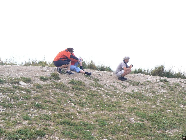 P1060152.jpg