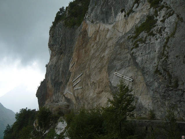 P1060186.jpg